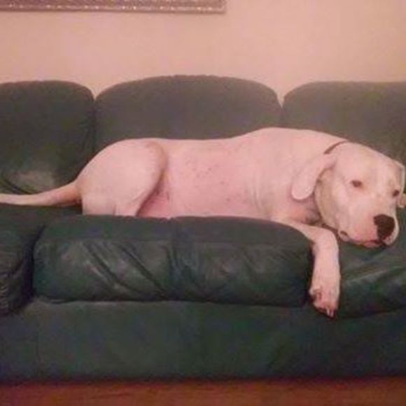 Meet your Posher, Mary - Picture 1 of 1